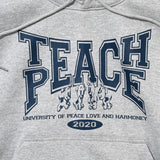 TEACH PEACE HOODIE
