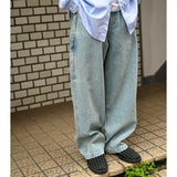 Bell TLee PAINTER PANTS Indigo